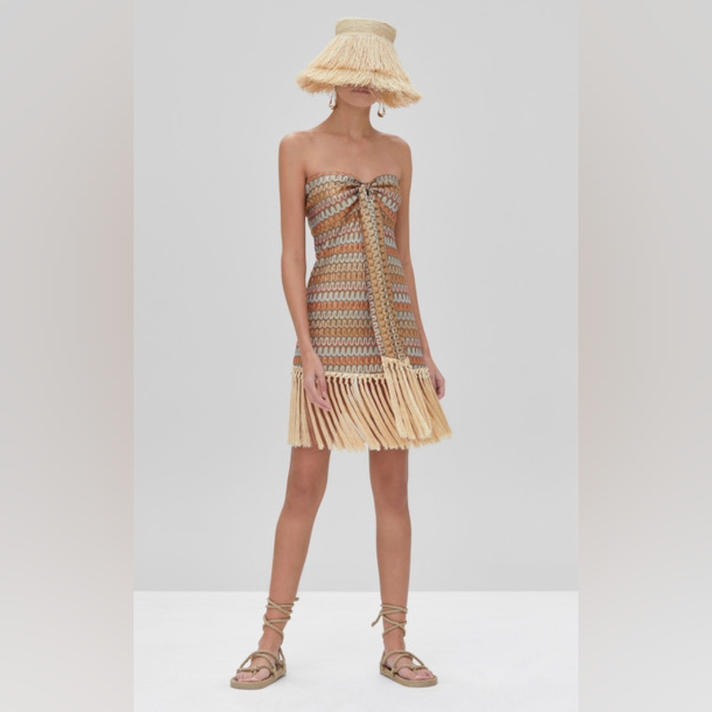 121. Alexis Tavia Fringe-Hem Bandeau Dress Size Small